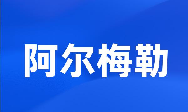 阿尔梅勒