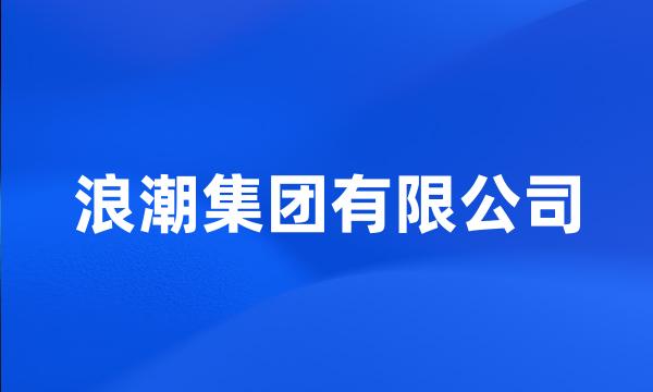 浪潮集团有限公司