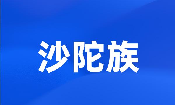 沙陀族