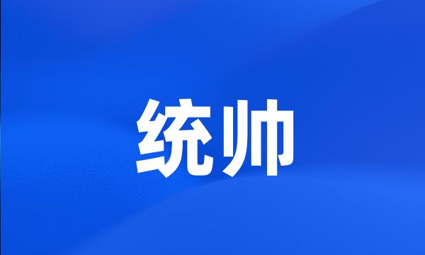 统帅