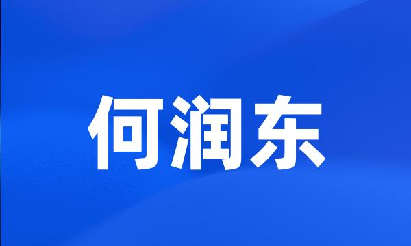 何润东