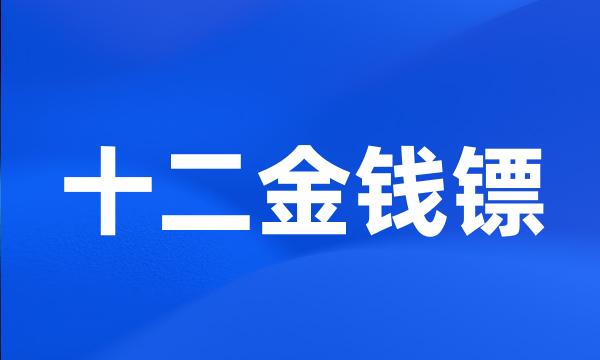 十二金钱镖