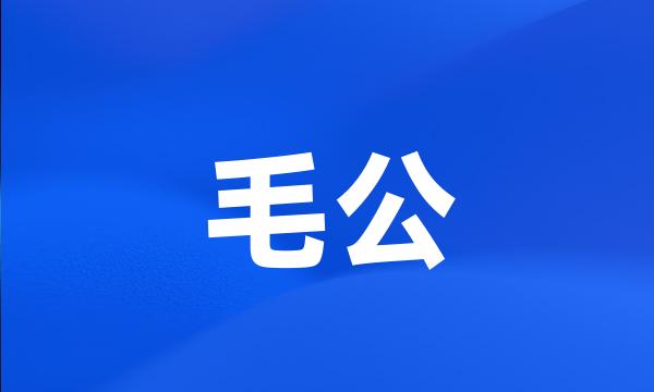 毛公