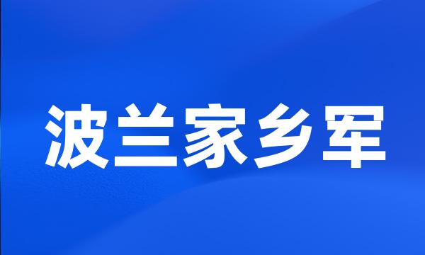 波兰家乡军