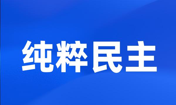 纯粹民主