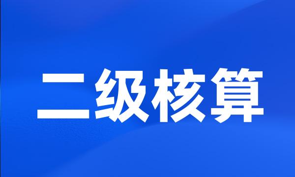 二级核算