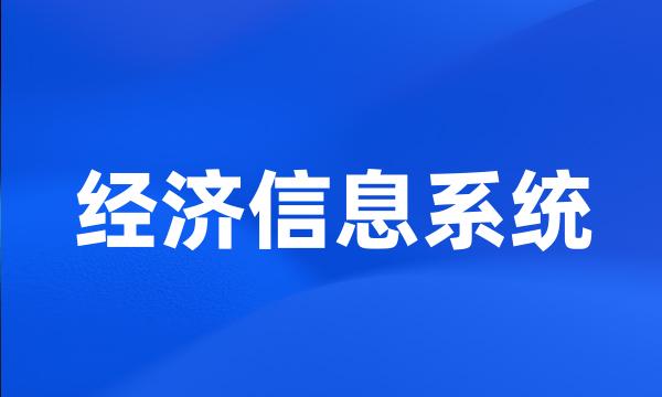 经济信息系统