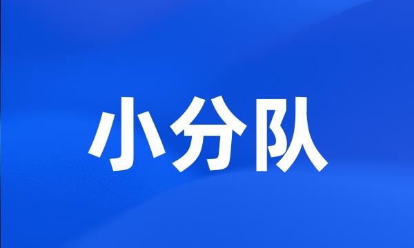 小分队