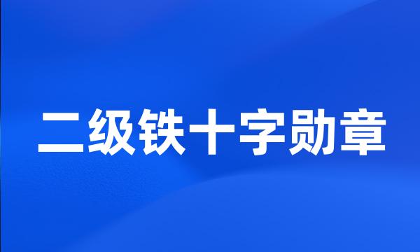 二级铁十字勋章