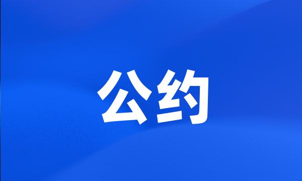 公约