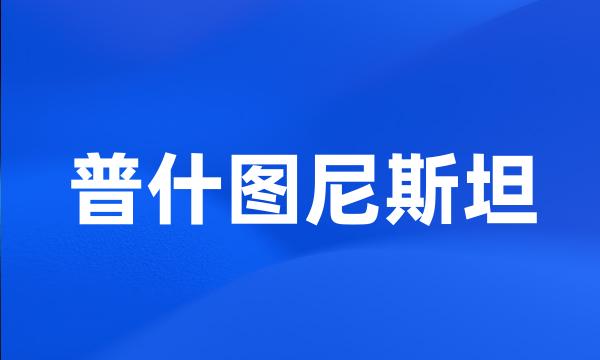 普什图尼斯坦