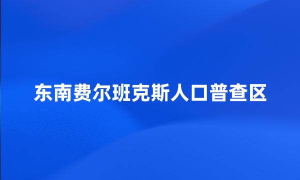 东南费尔班克斯人口普查区