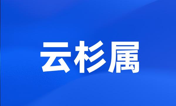 云杉属