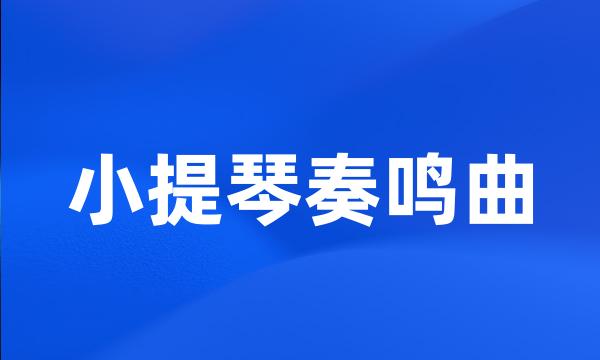 小提琴奏鸣曲