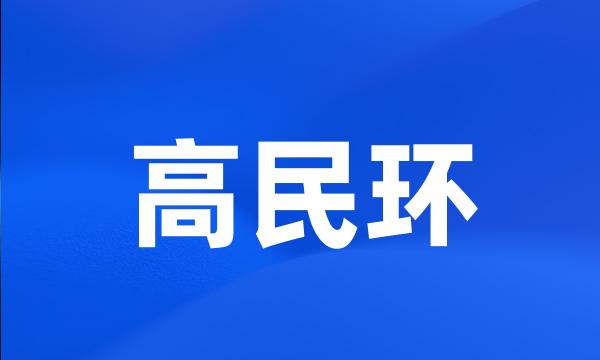 高民环