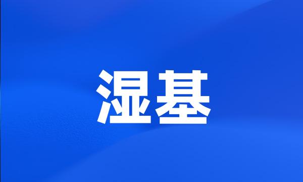 湿基