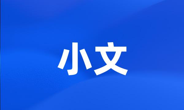 小文