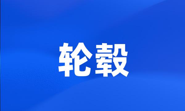 轮毂