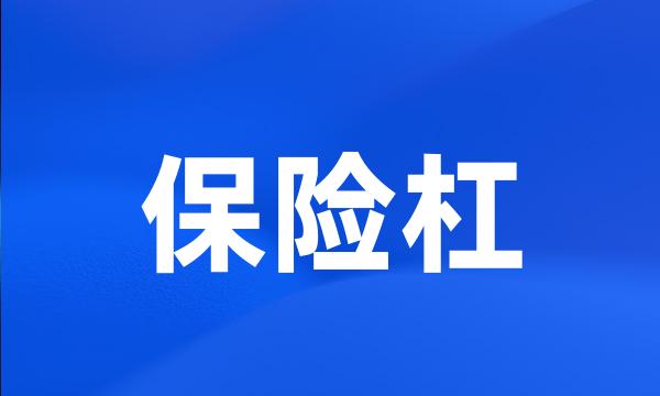 保险杠