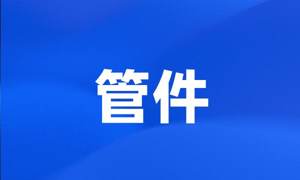 管件