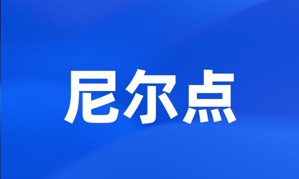 尼尔点