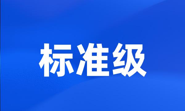 标准级