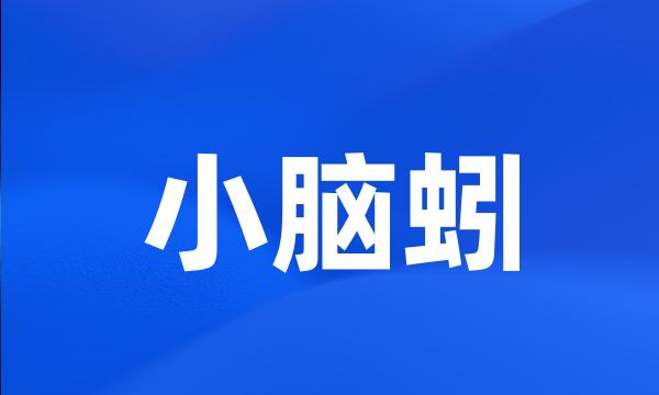 小脑蚓