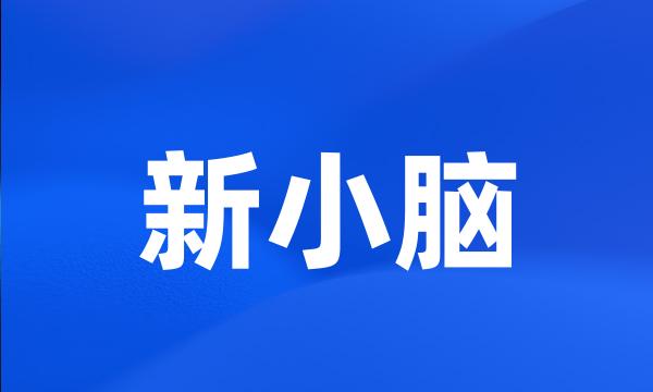 新小脑