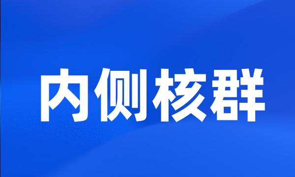 内侧核群