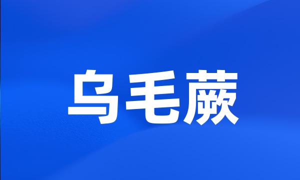 乌毛蕨