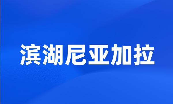 滨湖尼亚加拉