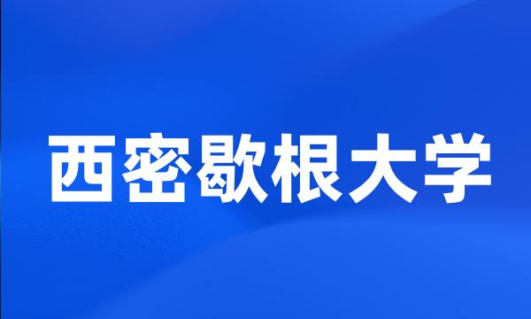 西密歇根大学