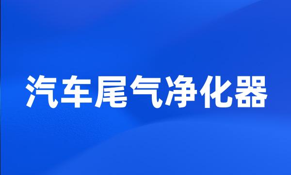 汽车尾气净化器