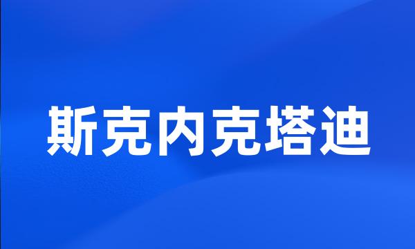 斯克内克塔迪