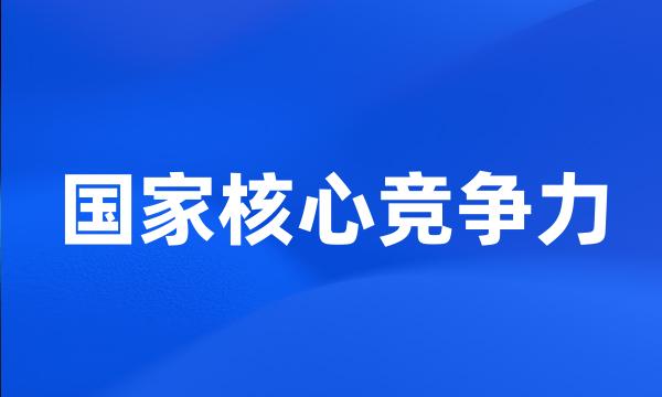 国家核心竞争力