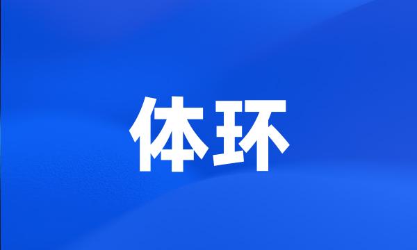 体环