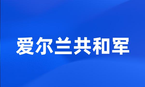 爱尔兰共和军