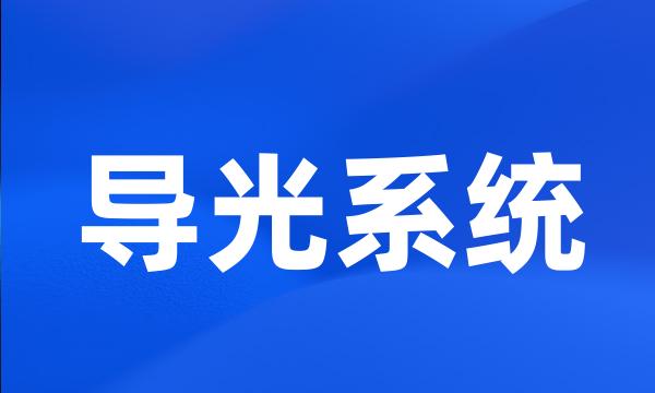 导光系统