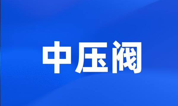 中压阀