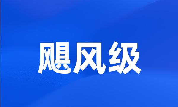 飓风级