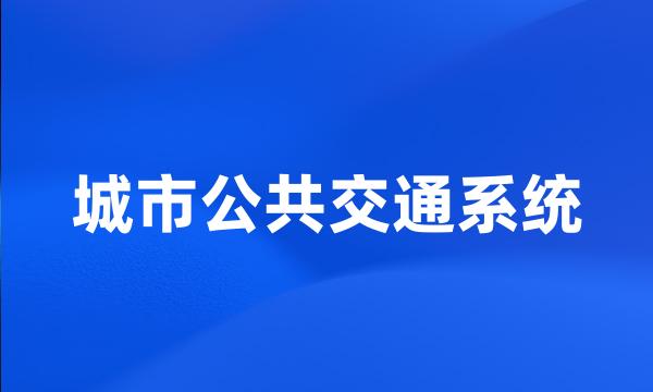 城市公共交通系统