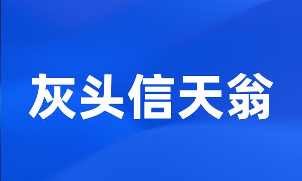 灰头信天翁