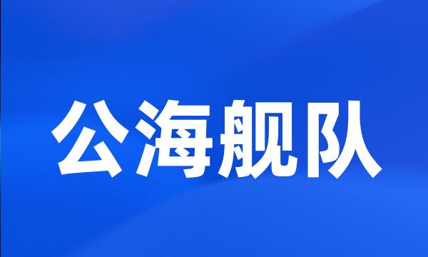 公海舰队