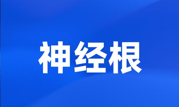 神经根