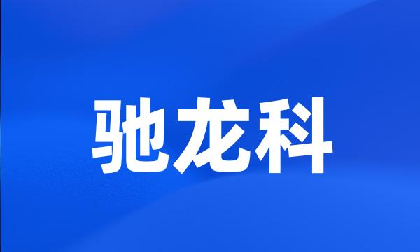 驰龙科