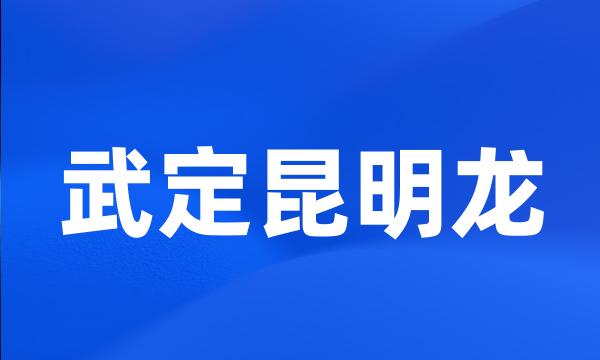 武定昆明龙