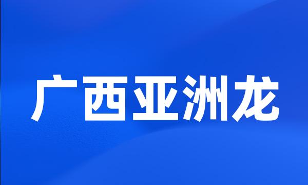 广西亚洲龙