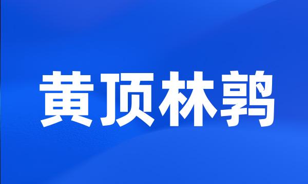 黄顶林鹑