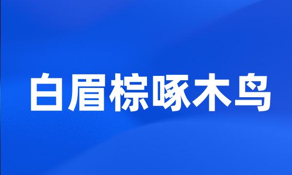 白眉棕啄木鸟