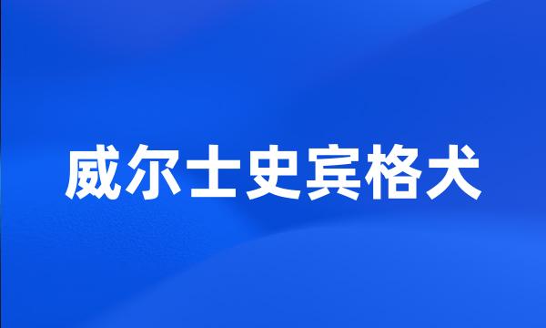 威尔士史宾格犬